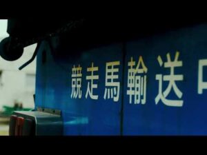 地方競馬2018PV お盆