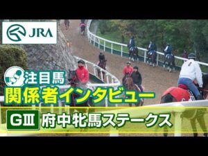 【注目馬 関係者インタビュー】2025年 府中牝馬ステークス｜JRA公式