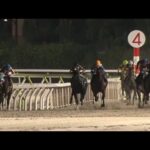 アタック!地方競馬|第325回|詳報 東京ダービー|NAR公式