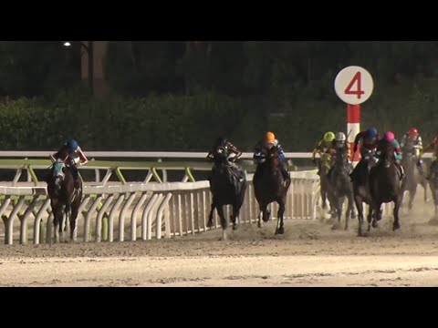 アタック!地方競馬|第325回|詳報 東京ダービー|NAR公式