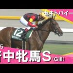 2025年 府中牝馬ステークス(GⅢ) セキトバイースト【カンテレ公式】