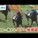 【新馬戦ダイジェスト】モノポリオ・フェスティバルヒル ほか | 6月21日~6月22日(東京・阪神・函館) | JRA公式