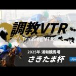 調教VTR|2025年 さきたま杯 JpnI|NAR公式