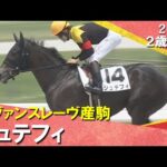 伯父にヴァーミリアンを持つシュテフィがデビュー勝ち!松山騎手「しっかり伸びてくれて強かったです」 2025年 6月22日(日)2歳新馬 阪神ダート1200m 実況:川島壮雄【カンテレ公式】