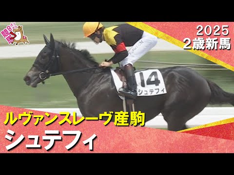 伯父にヴァーミリアンを持つシュテフィがデビュー勝ち!松山騎手「しっかり伸びてくれて強かったです」 2025年 6月22日(日)2歳新馬 阪神ダート1200m 実況:川島壮雄【カンテレ公式】