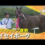 新種牡馬インディチャンプ産駒のタイセイボーグが接戦を制す!田口騎手「しっかり走ってくれました」 2025年 6月21日(土)2歳新馬 阪神芝1400m 実況:服部優陽【カンテレ公式】