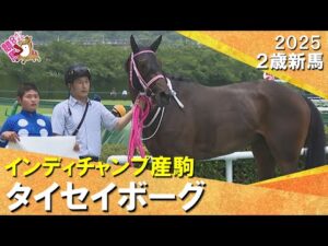 新種牡馬インディチャンプ産駒のタイセイボーグが接戦を制す！田口騎手「しっかり走ってくれました」　2025年 6月21日(土)２歳新馬　阪神芝1400ｍ　実況：服部優陽【カンテレ公式】