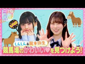 【うま活】しんしん＆やよい　競馬場のかわいい♡を見つけよう！【2025年6月8日放送】