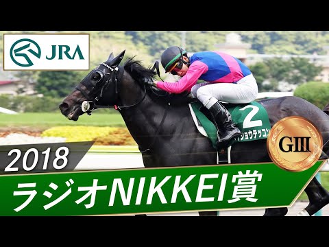 2018年 ラジオNIKKEI賞(GⅢ) | メイショウテッコン | JRA公式