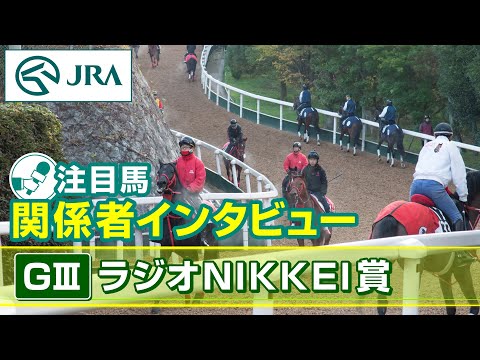 【注目馬 関係者インタビュー】2025年 ラジオNIKKEI賞|JRA公式