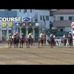 アタック!地方競馬|第326回|詳報 さきたま杯|NAR公式