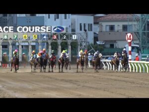 アタック！地方競馬｜第326回｜詳報 さきたま杯｜NAR公式