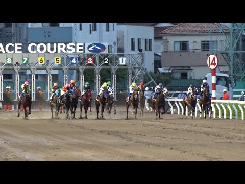 アタック!地方競馬|第326回|詳報 さきたま杯|NAR公式