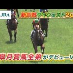【新馬戦ダイジェスト】ロスパレドネス・メーゼ ほか | 6月28日~6月29日(福島・小倉・函館) | JRA公式