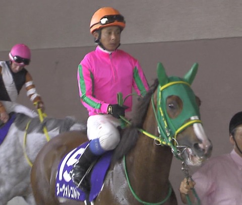 【競馬】オークス馬ヌーヴォレコルトが現役引退、繁殖入り ロードカナロアと交配へ