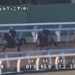 【しらさぎステークス2025】追い切り/動きを見極め勝利に近づけ