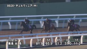 【しらさぎステークス2025】追い切り/動きを見極め勝利に近づけ