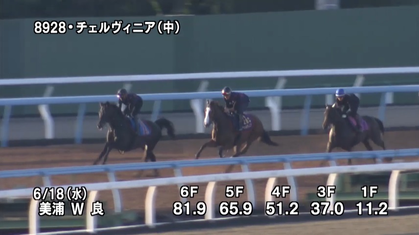 【しらさぎステークス2025】追い切り/動きを見極め勝利に近づけ