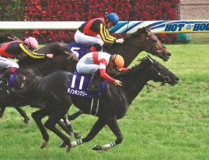 種牡馬ダノンキングリー、種付け激増！？