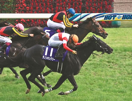 種牡馬ダノンキングリー、種付け激増!?