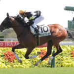 顕彰馬選定投票にアスクビクターモアに謎の1票wwww