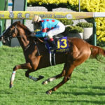 【競馬予想】[1]第66回宝塚記念(GⅠ) /2025