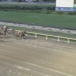 【さきたま杯2025】結果・動画/シャマルが人気に応え圧勝