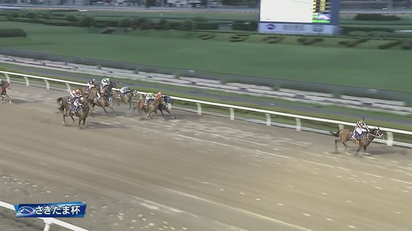 【さきたま杯2025】結果・動画/シャマルが人気に応え圧勝
