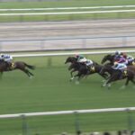 【しらさぎステークス2025】出走予定馬・騎手/初回を彩るのは