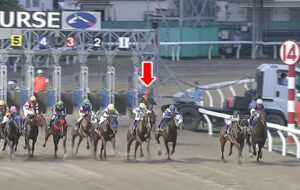 【さきたま杯】コスタノヴァ･ルメールさんスタートでやらかし11着ｗｗｗｗ