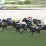 【競馬】ラジオNIKKEI賞は荻野極騎乗のエキサイトバイオがV