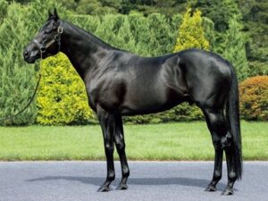【2歳新馬】土曜はコントレイル産駒3戦3敗