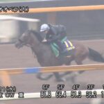 【宝塚記念2025】追い切り/調教を見てわかる事