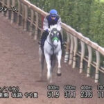 【安田記念】ガイアフォース買えたヤツ