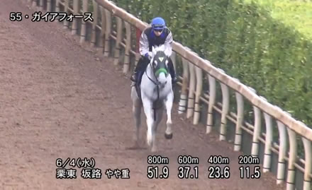 【安田記念】初ブリンカーでガイアフォースが一変!坂路でラスト1F11.5