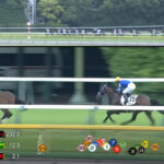 ファウストラーゼン18-18-18-18 18着wwww