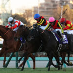 【宝塚記念】レガレイラの取捨選択が難しすぎる