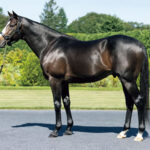 ブリックスアンドモルタルとはなんだったのか考えるスレ