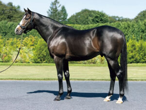 ブリックスアンドモルタルとはなんだったのか考えるスレ