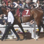 【競馬予想】[2]第61回函館記念(GⅢ) /2025