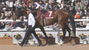 【競馬予想】[2]第61回函館記念(GⅢ) /2025