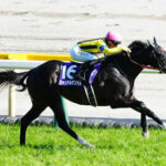 【競馬予想】[2]第75回安田記念(GⅠ) /2025