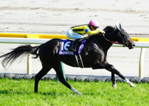 【競馬予想】[2]第75回安田記念(GⅠ) /2025