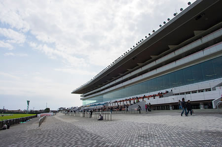 新馬戦の馬柱みたら父も母父もヘイルトゥリーズン系ばかりでウンザリする