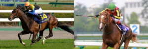 【競馬】【歴代】ディープインパクトｖｓオルフェーヴル【最強馬】