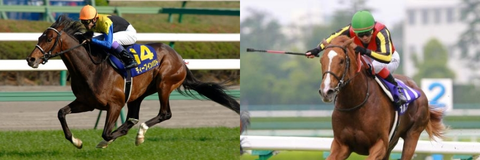 【競馬】【歴代】ディープインパクトvsオルフェーヴル【最強馬】