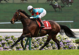【2歳新馬】インディチャンプ種牡馬成功