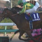 【競馬】サトノダイヤモンドが菊と有馬に続いて春天も制したらどうする?