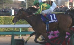 【競馬】サトノダイヤモンドが菊と有馬に続いて春天も制したらどうする？