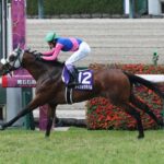 【宝塚記念】メイショウタバル強すぎワロタwww